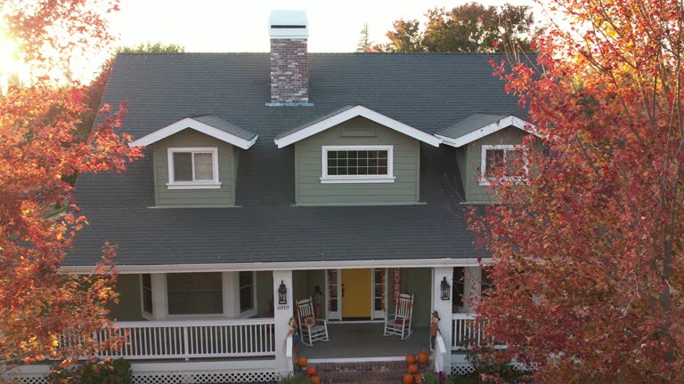 Best Storm Damage Roof Repair  in Dassel, MN