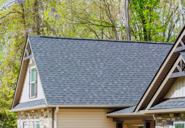 Best Gutter Installation and Repair  in Dassel, MN