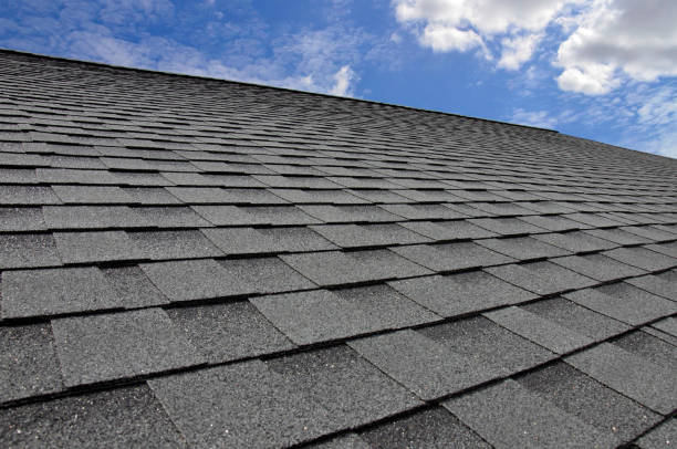 Best Hot Roofs  in Dassel, MN