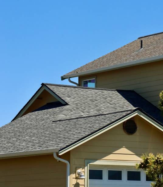 Best Gutter Installation and Repair  in Dassel, MN