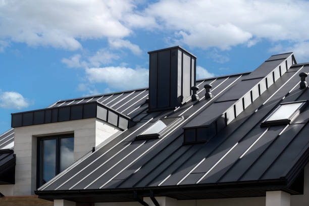 Best Roof Coating and Sealing  in Dassel, MN